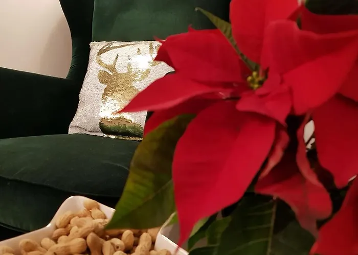 The Little 3* Salzburg