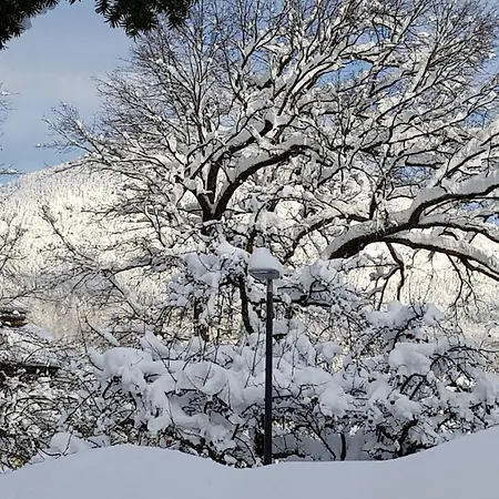 מלון The Little זלצבורג