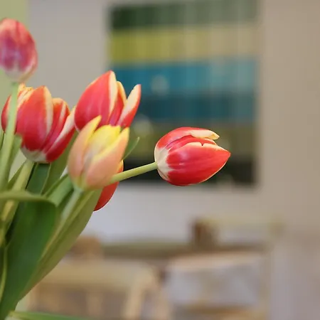 מלון The Little 3*