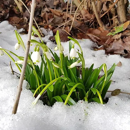 The Little Отель