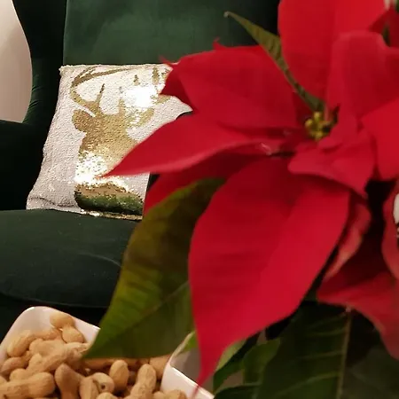 The Little 3* Salzburg